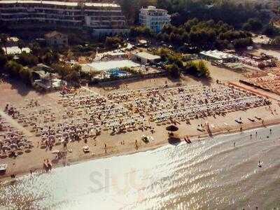 Foto 49351664
