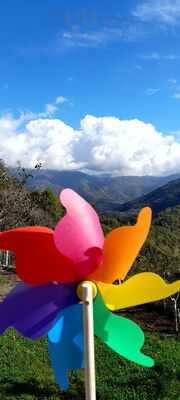 Foto 68192440
