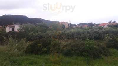 Foto 61312785