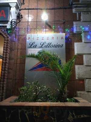 Foto 49135196