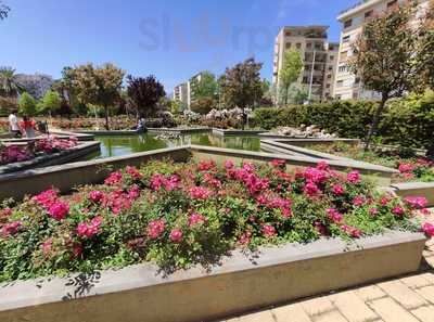 Foto 68631269