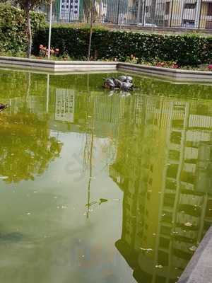 Foto 68631271