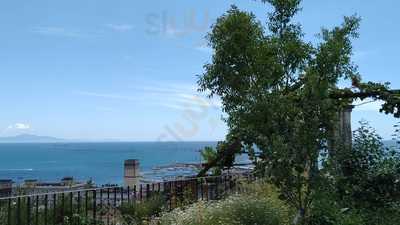 Foto 61331842
