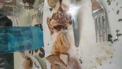 Foto 55972076