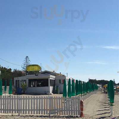 Foto 55956846