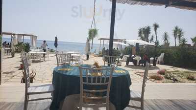 Foto 68650415