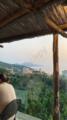 Foto 67758882