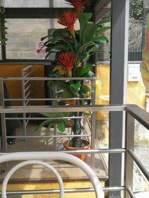 Foto 55978371