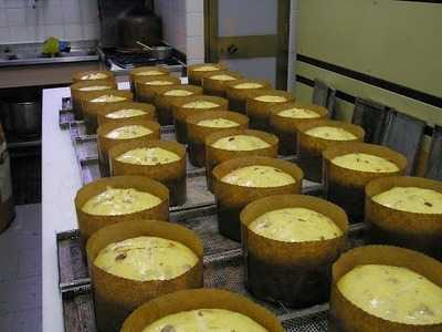 Foto 61496000