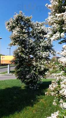 Foto 68700794