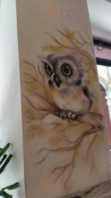 Foto 56458134