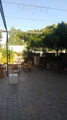Foto 49180636