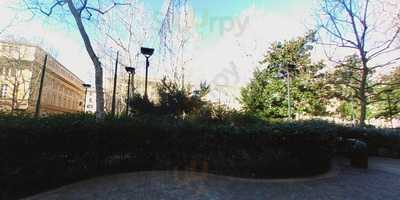 Foto 61570735