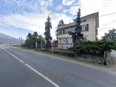 Foto 61576437