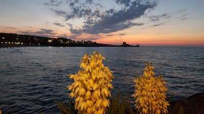 Foto 57014151