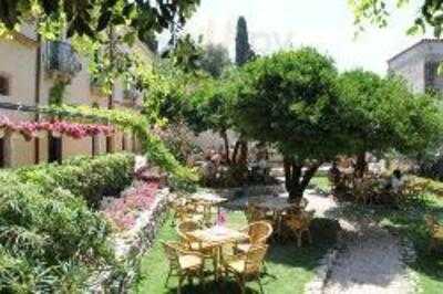 Foto 49544081