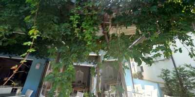 Foto 60109637