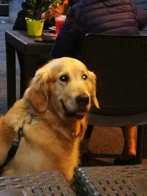 Foto 60127271