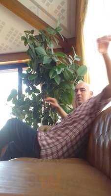 Foto 49620005