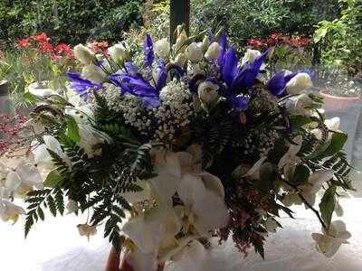 Foto 49621192