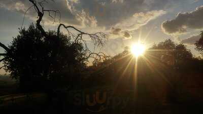 Foto 49644064