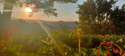 Foto 56711402