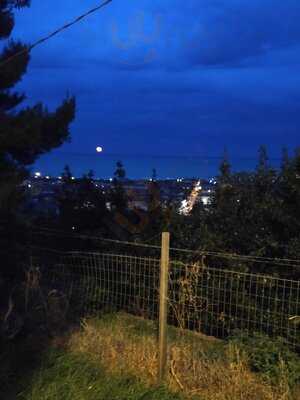 Foto 68265209