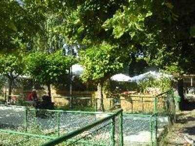 Foto 49679610