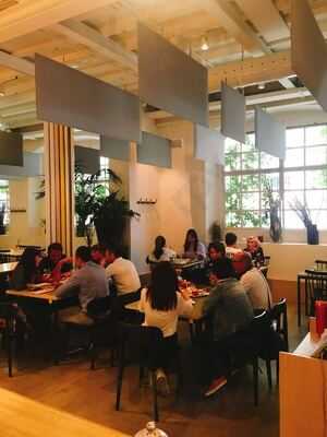 Foto 60218350