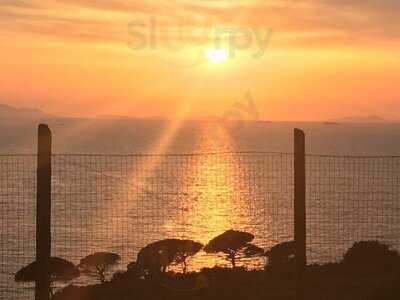 Foto 49811396