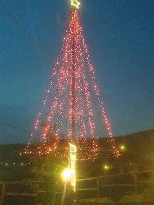 Foto 49915069