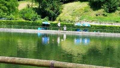 Foto 50007089
