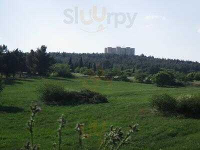 Foto 50037432