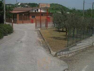 Foto 50048808