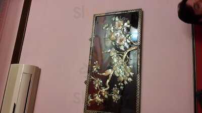 Foto 50070053
