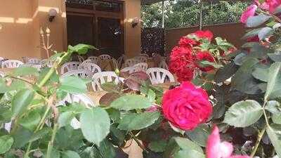 Foto 50070587