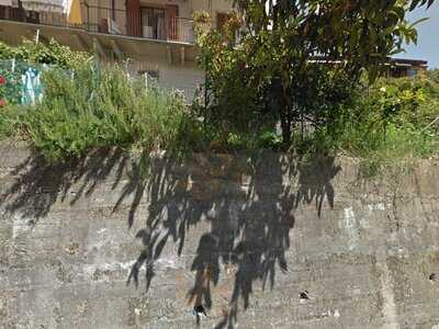 Foto 60643510