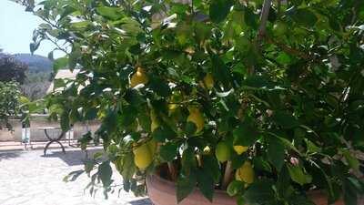 Foto 50104683