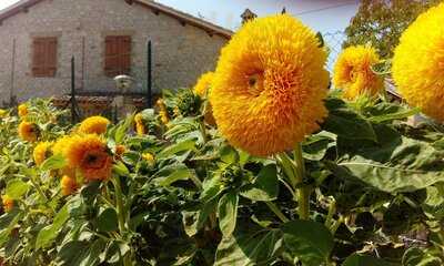 Foto 50104703