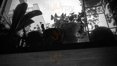 Foto 61599441