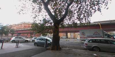 Foto 61606639