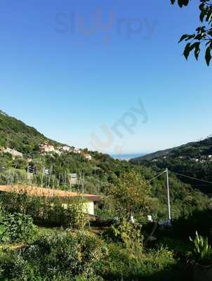 Foto 55475688