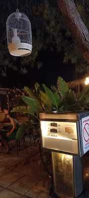 Foto 61624536
