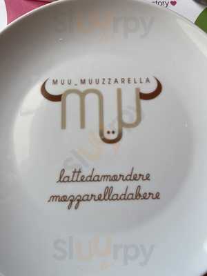 Foto 68741201