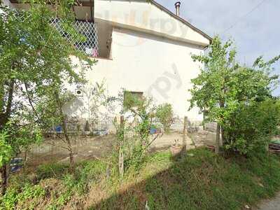 Foto 61645959