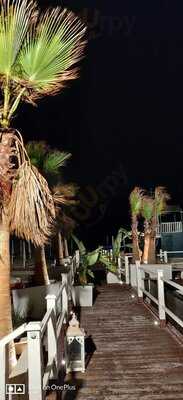 Foto 55540683