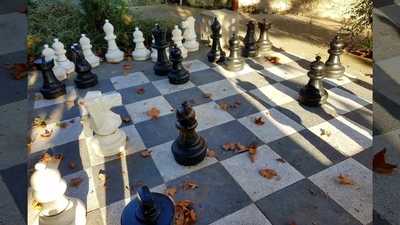 Foto 61679895