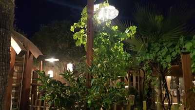 Foto 61686287