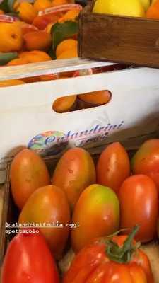 Foto 61707251