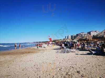 Foto 50128044